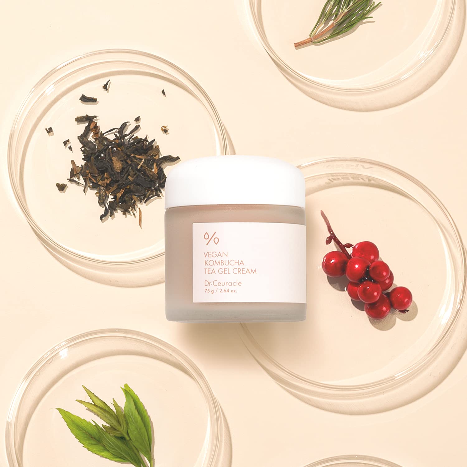 Dr. Ceuracle Vegan Kombucha Tea Cream 75 g.