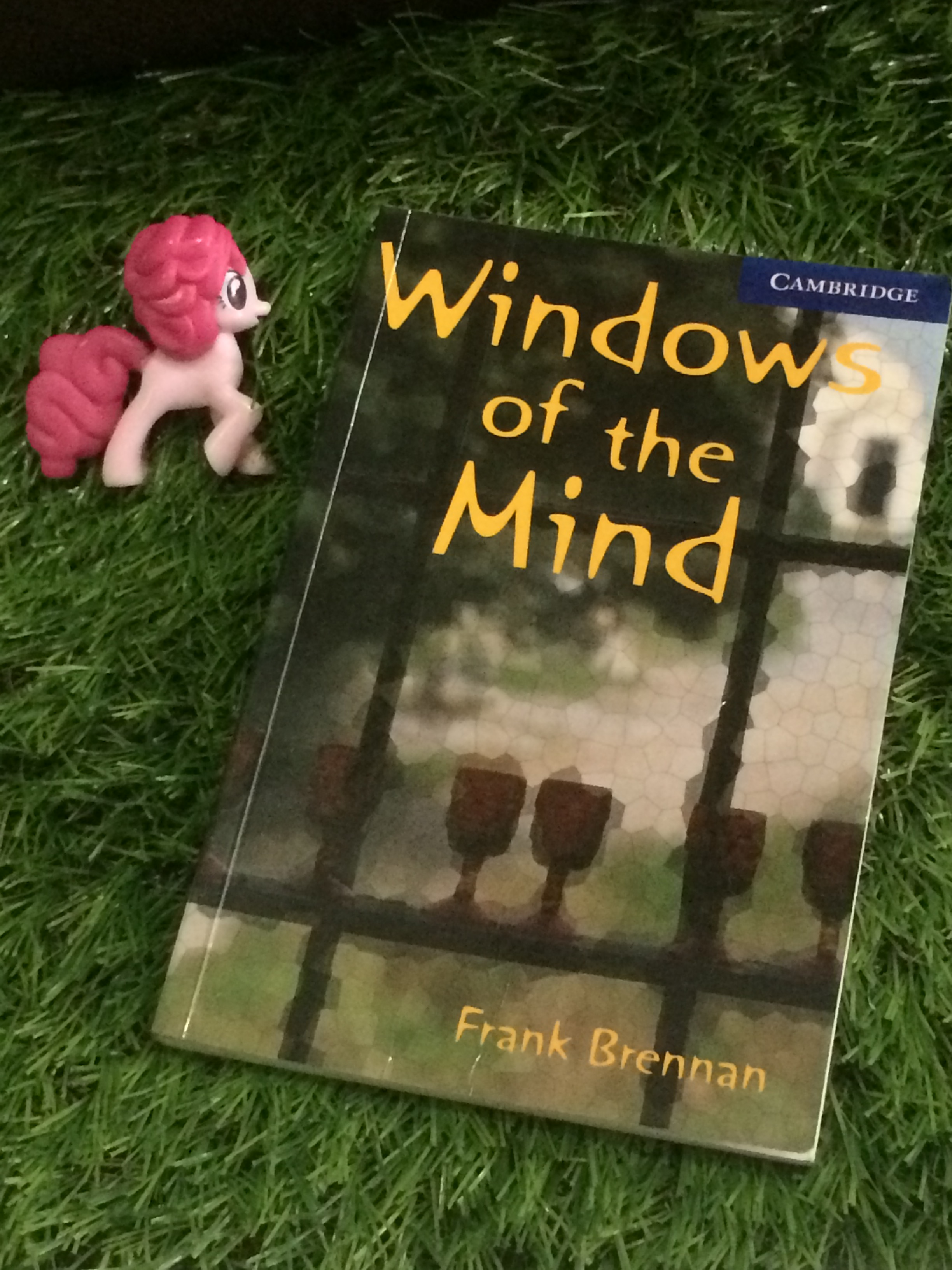 Windows of the Mind