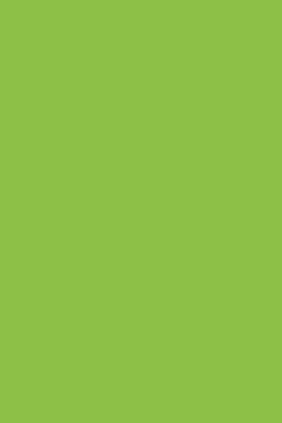 Solid Color SPL1029OM