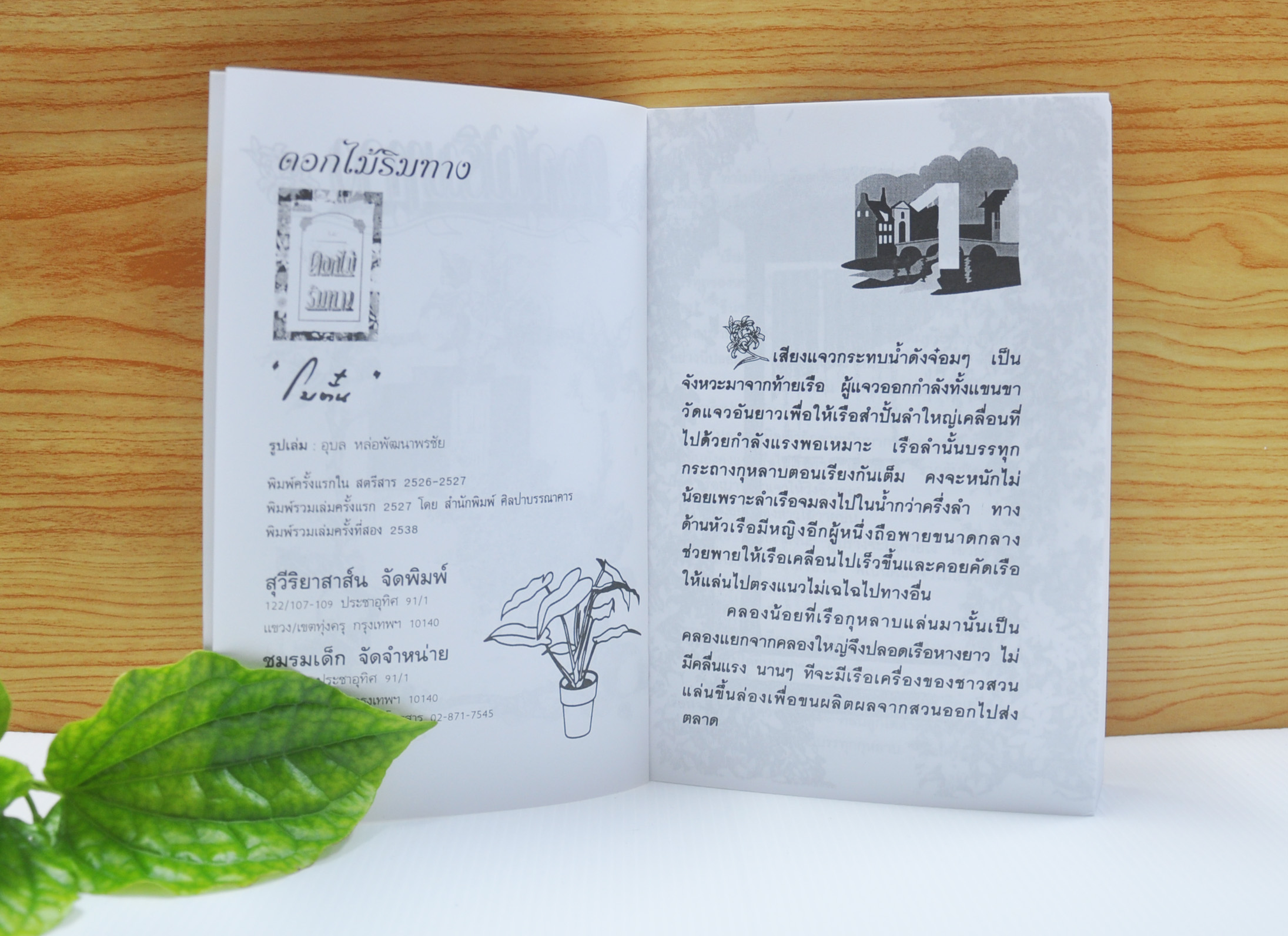 ดอกไม้ริมทาง ประพันธ์โดย โบตั๋น