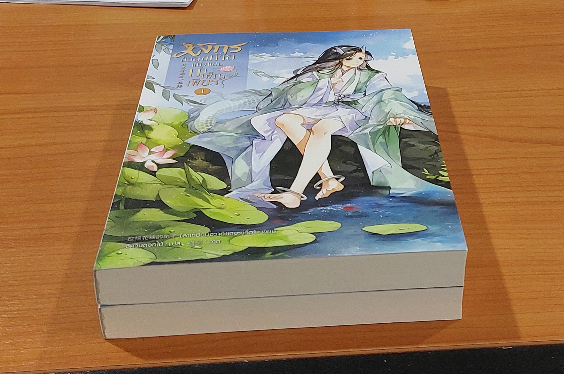 มังกรตัวสุดท้ายแห่งแดนบำเพ็ญเพียร 1-2 เล่มจบ นิยายแปลจีนวายมือสอง (Yaoi) โดย ลาเหมียนฮวาถังเตอะกู่จื่อ