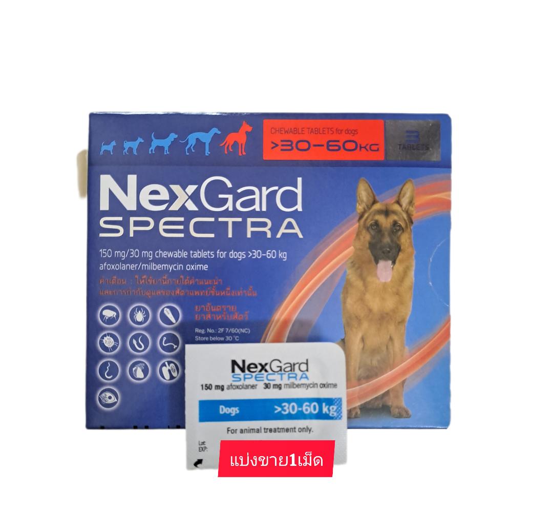 Nexgard spectra สุนัขน้ำหนัก30-60 กก.กำจัดเห็บ หมัด ไรเรื้อน พยาธิแบบเคี้ยวมี1เม็ด