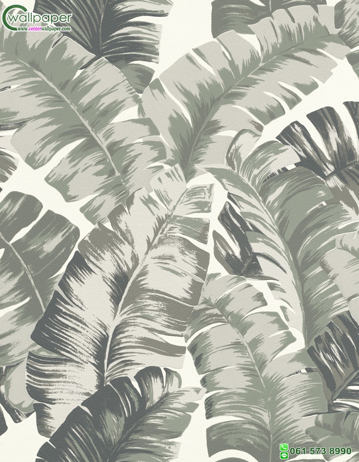 วอลเปเปอร์ติดผนังลายใบกล้วย Tropical