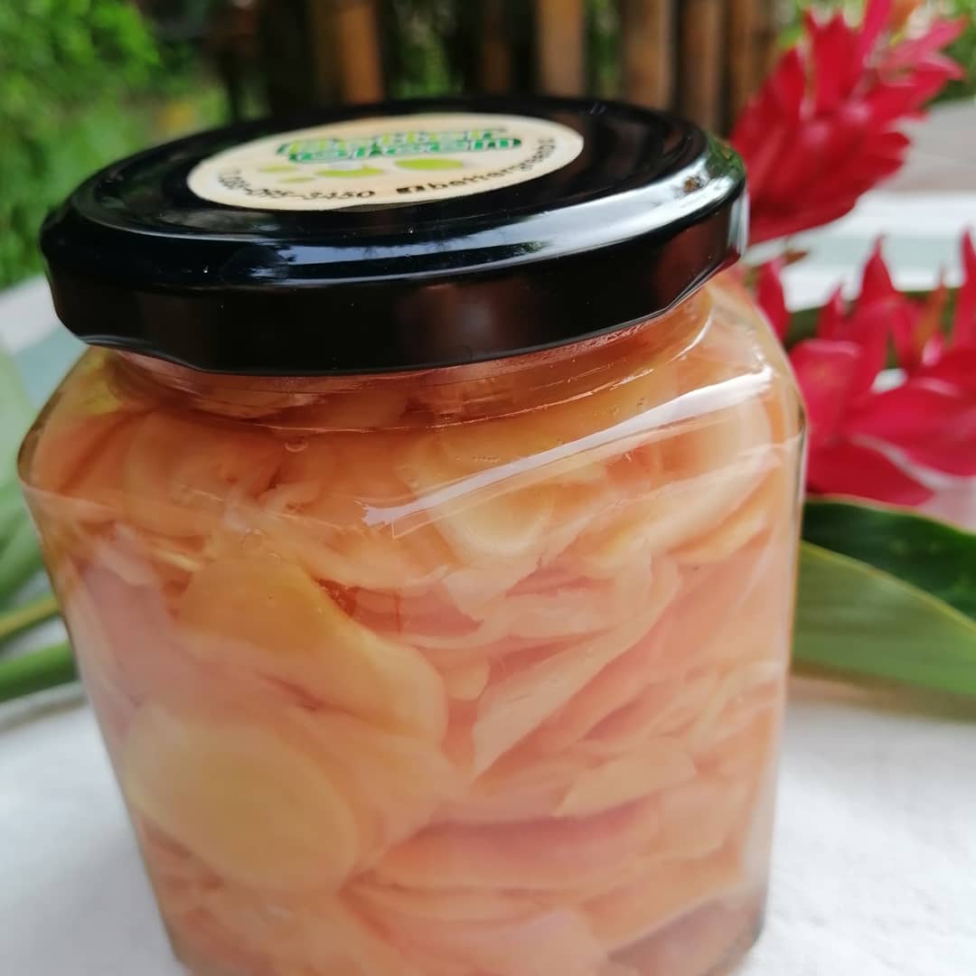 ขิงอ่อนดอง(โพรไบโอติกส์) Pickled Young Ginger (probiotics)