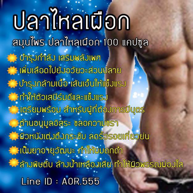 รากปลาไหลเผือก 100 แคปซูล (เสริมพลังเพศ)