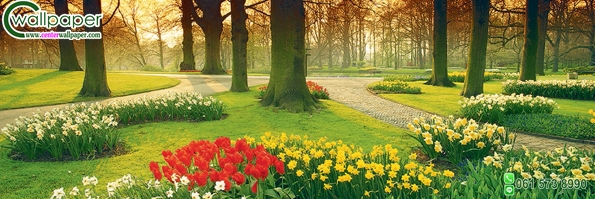 ภาพวิวสวยๆภาพสวนดอกไม้ตอนเย็น