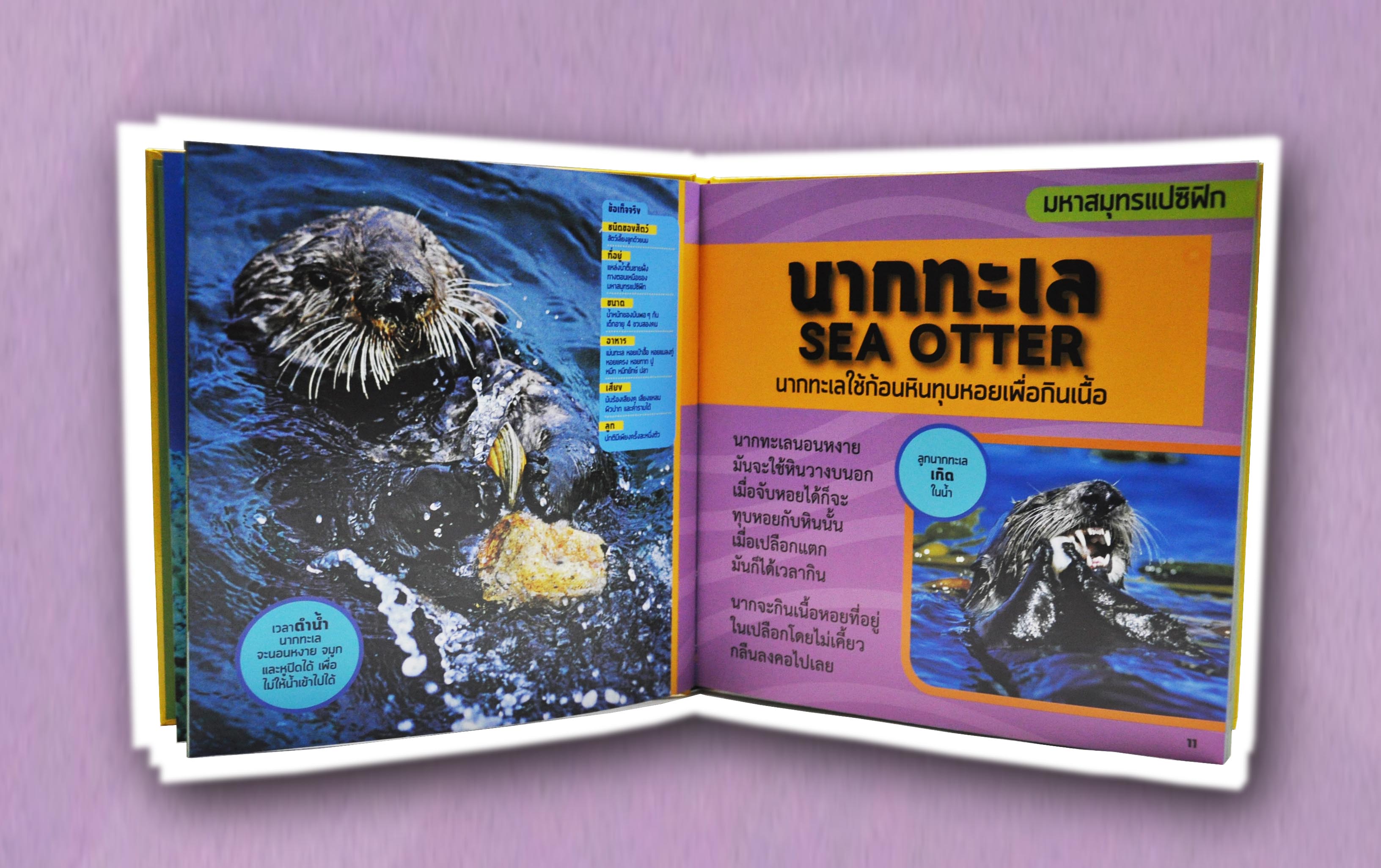 หนังสือเล่มโตเล่มแรกของหนู มหาสมุทร