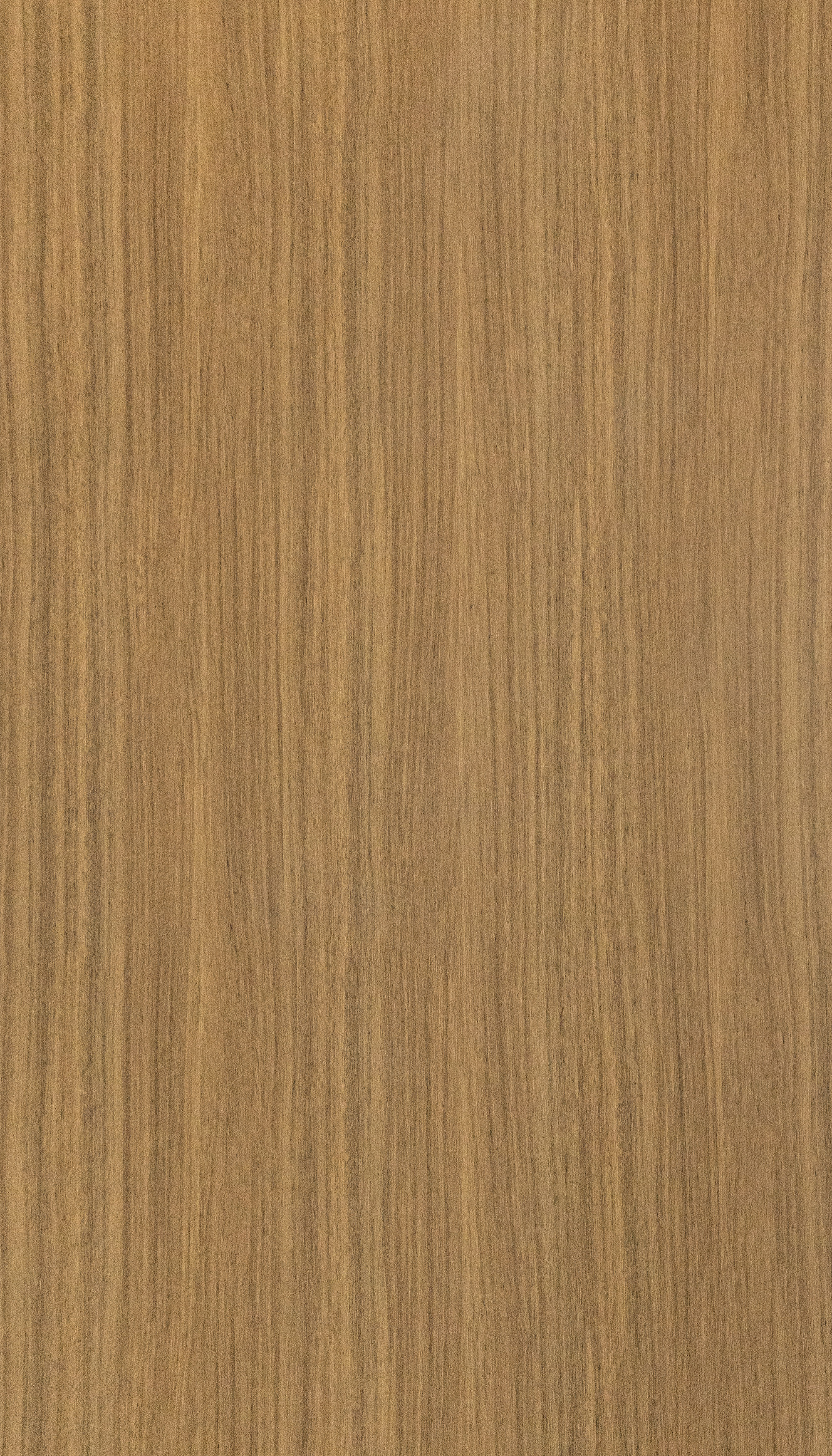 Wood SPR9710NW