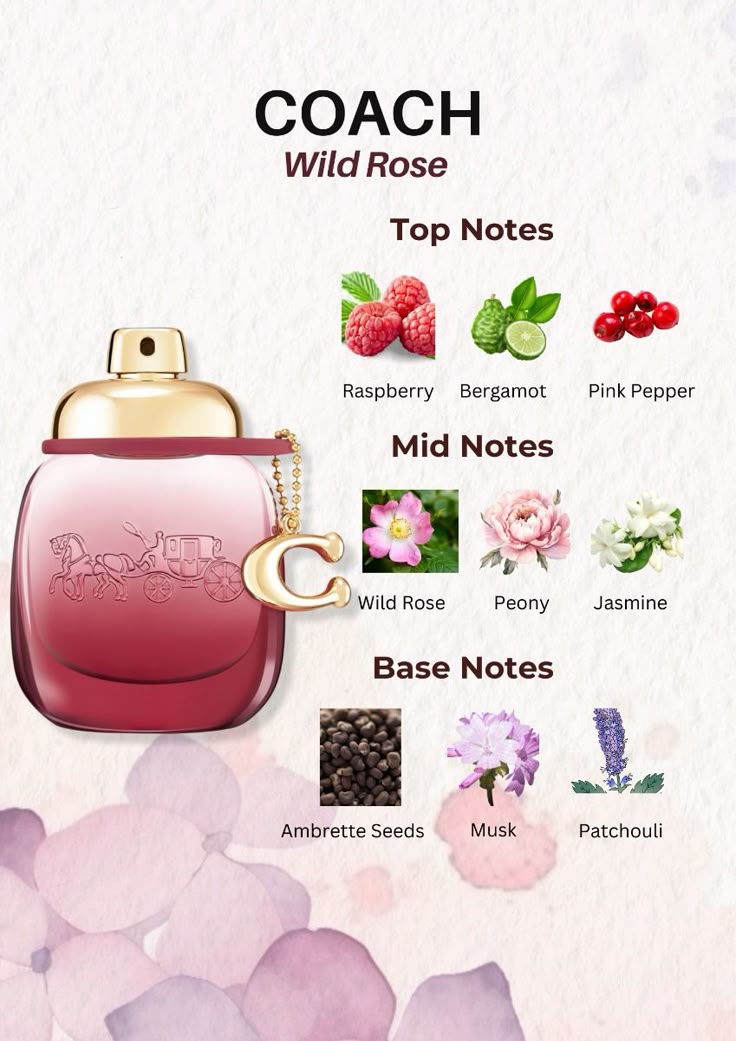 Coach New York Eau De Wild Rose Parfum Gift Set