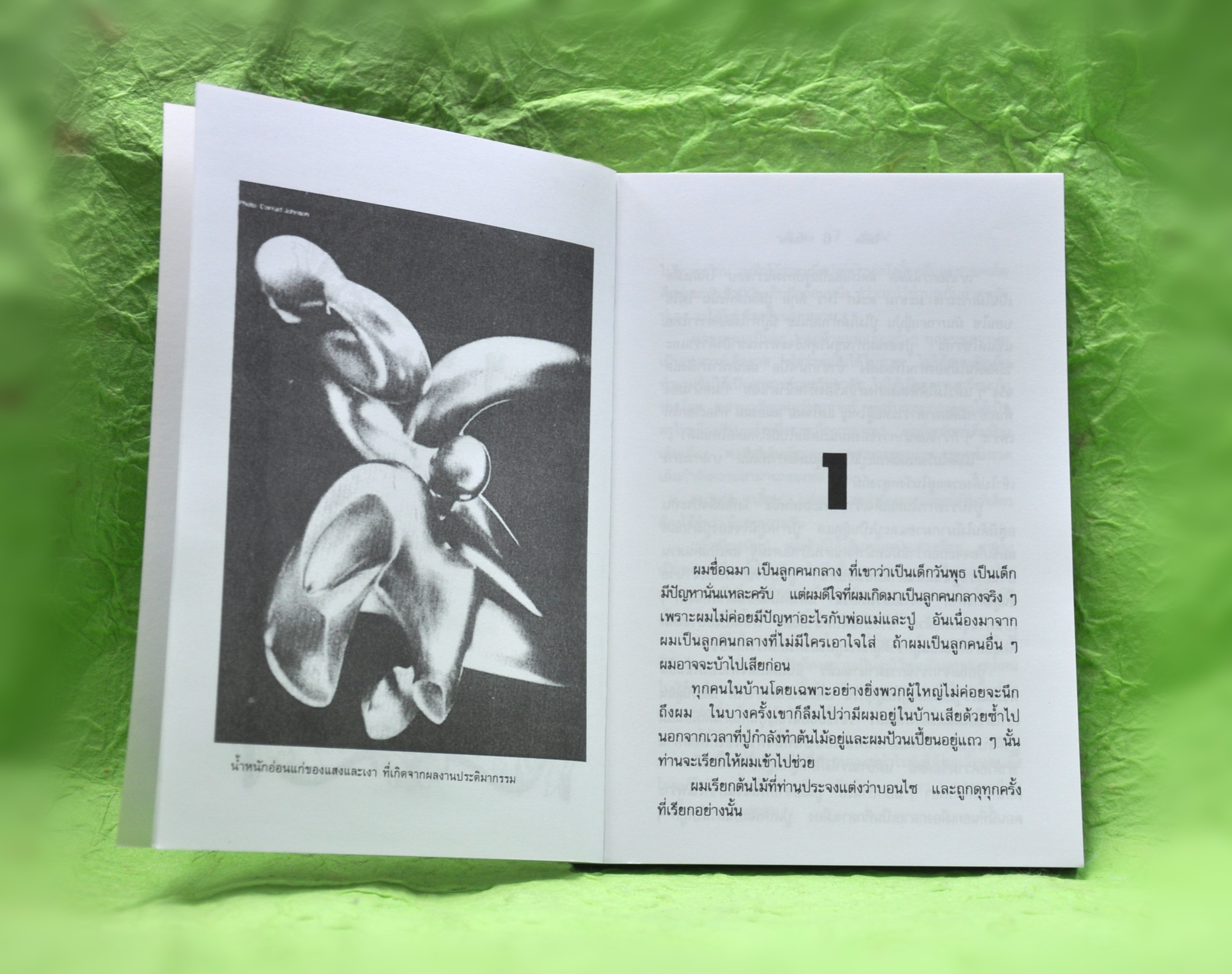ไม้ดัด ประพันธ์โดย โบตั๋น