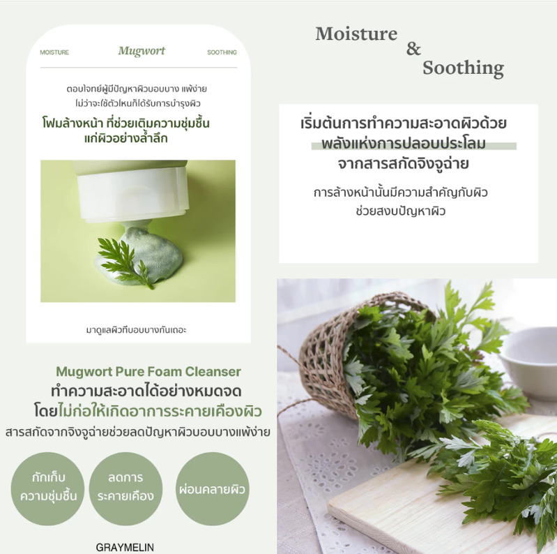 Graymelin Mugwort Pure Foam Cleanser 150 ml.