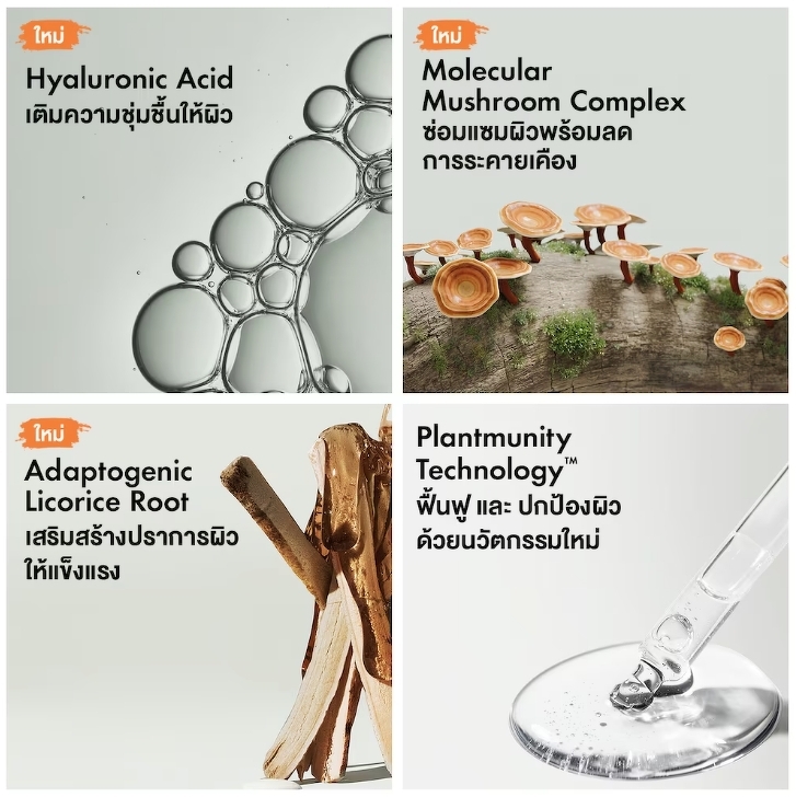 Origins Dr.Andrew Weil For Origins Mega-Mushroom Relief & Resilience Soothing Treatment Lotion 200 ml. ตัวใหม่ ฉลากไทย