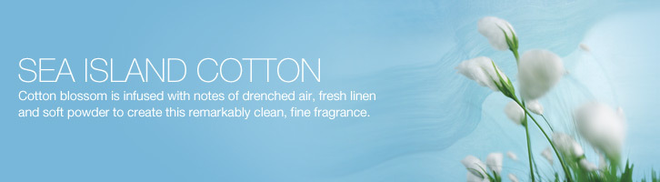 Bath & Body Works Ultra Shea Body Cream 226 g. Sea Island Cotton