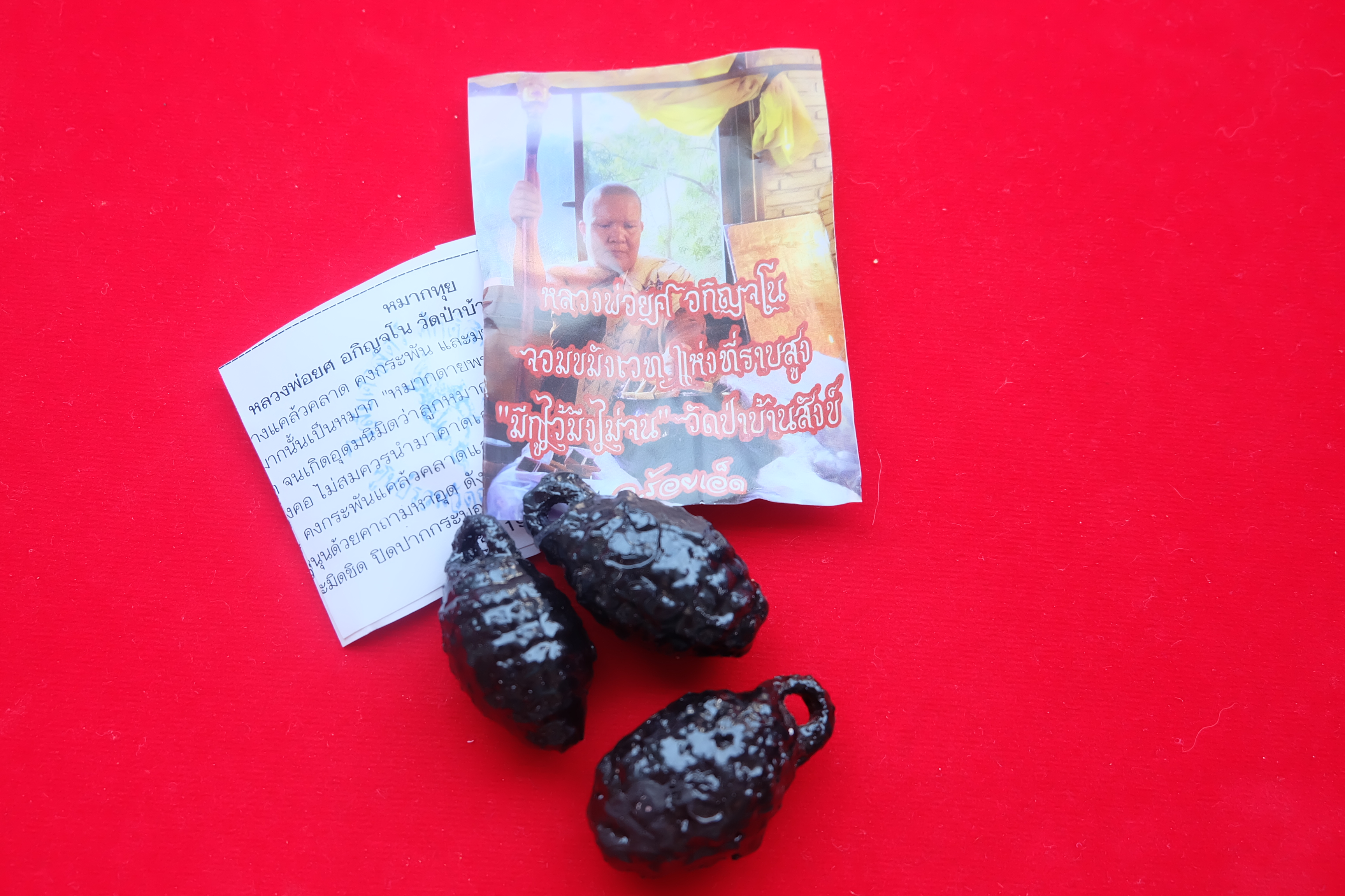 หมากทุย หลวงพ่อยศ อกิญจโน วัดป่าบ้านสังข์จ.ร้อยเอ็ด