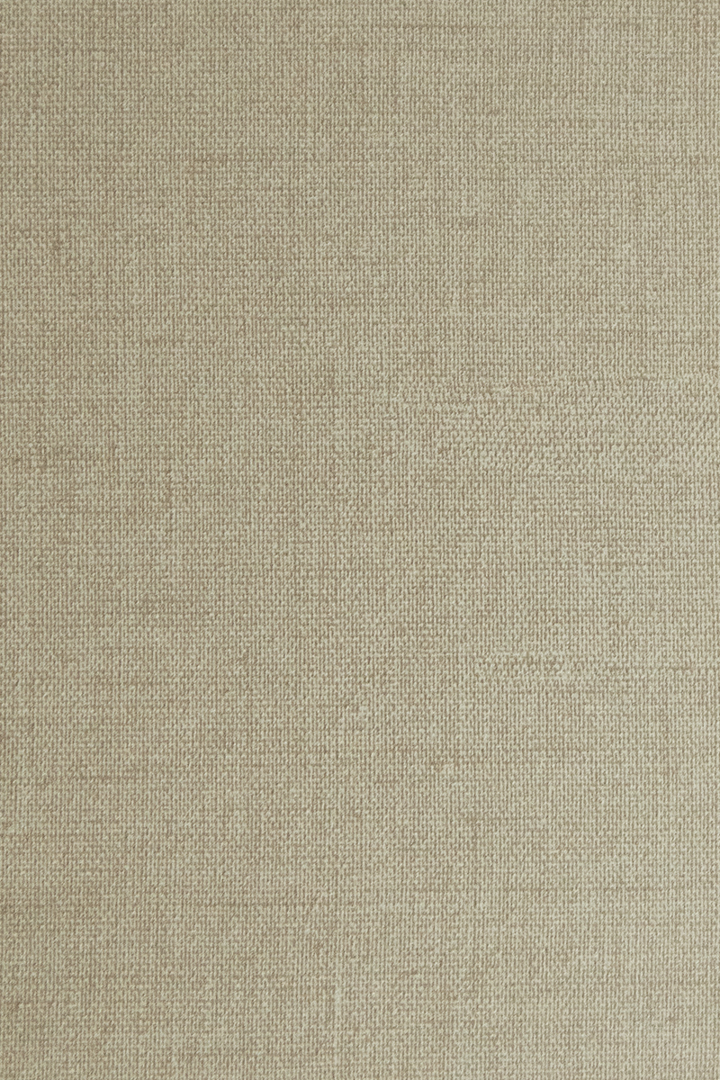 Fabric DFL3813