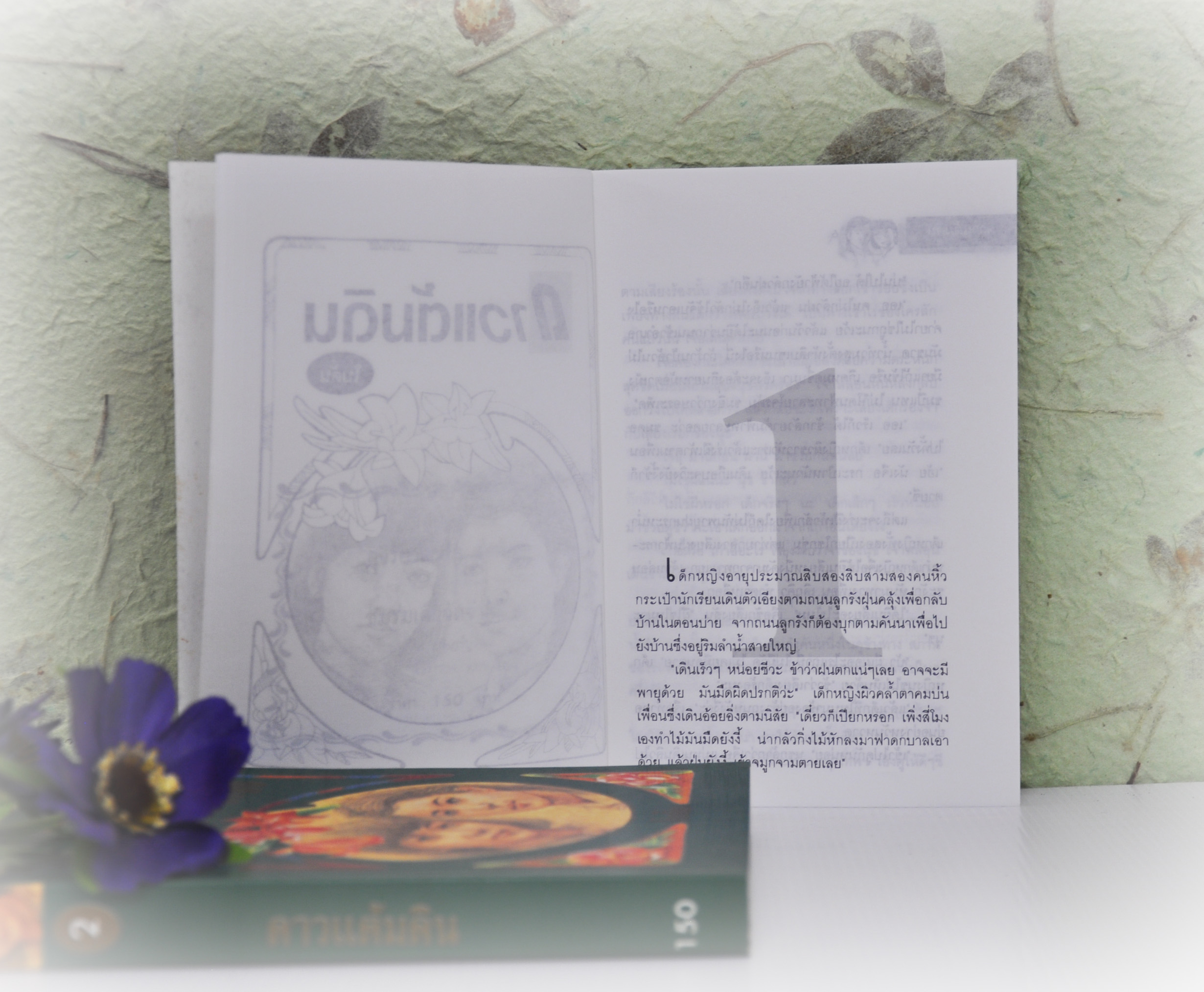 ดาวแต้มดิน ประพันธ์โดย โบตั๋น (2 เล่มจบ)