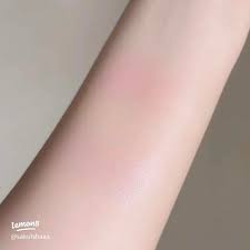 Dior Rouge Blush Colour & Glow Duo Palette 8 g. #287 Dioramour