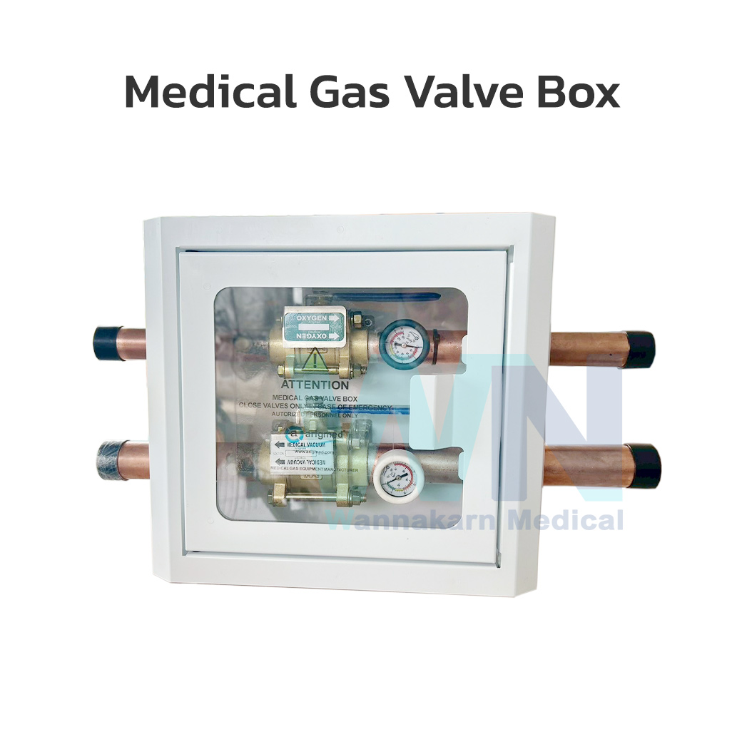 Arigmed Medical 2 Gas Zone Valve Box