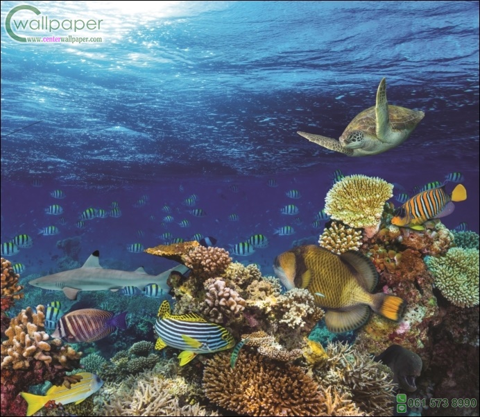 ภาพวิวสำเร็จรูป ภาพสัตว์น้ำใต้ทะเล 