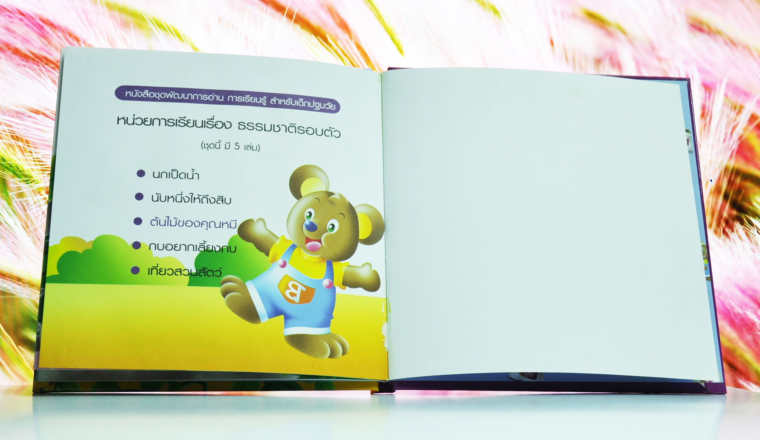 ชุดธรรมชาติรวบตัว ต้นไม้ของคุณหมี