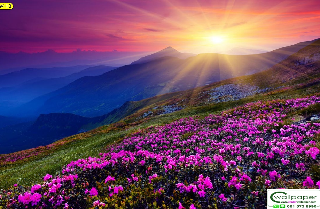 วอลเปเปอร์สั่งพิมพ์ลายดอกไม้ FLW-13