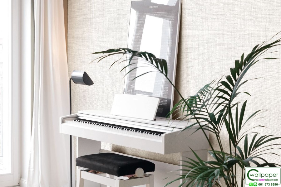 E-ROOM 2 สินค้ามาใหม่