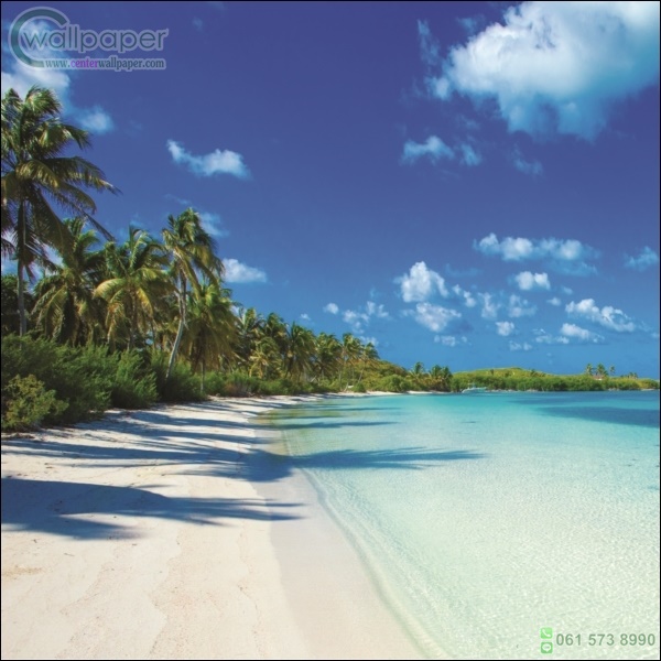 ภาพวิวสำเร็จรูป ภาพชายหาดน้ำทะเลใส