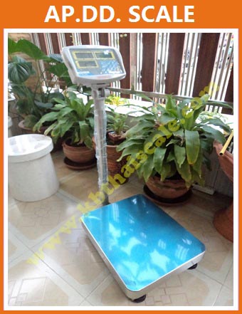 ตาชั่งนับชิ้นงานตั้งพื้น 200กิโลกรัม เครื่องชั่งวางพื้นนับจำนวน200kg เครื่องชั่งนับจำนวน200กิโลกรัม เครื่องชั่งน้ำหนัก200kg ละเอียด 0.01kg ยี่ห้อ TSCALE รุ่น CKC ขนาดแท่น 40*50cm