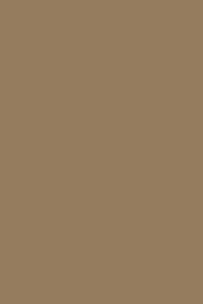 Solid Color SPL1014OM
