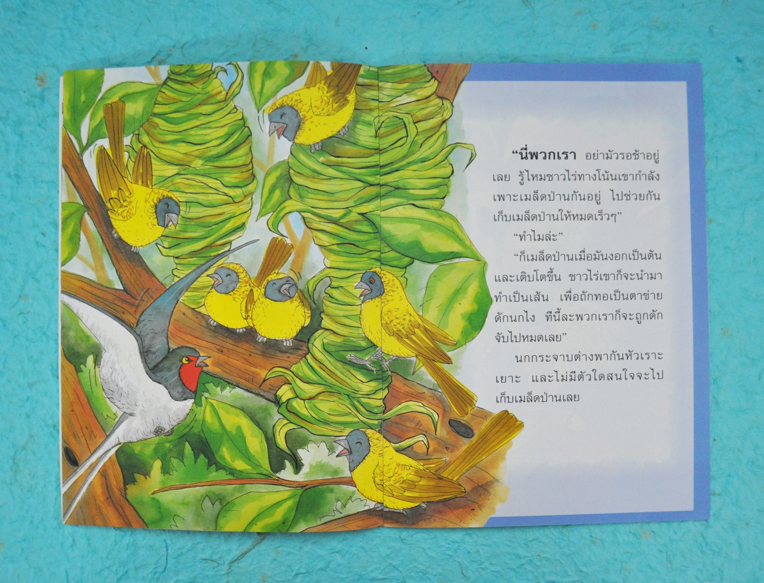 นกนางแอ่นกับฝูงนกกระจาบ