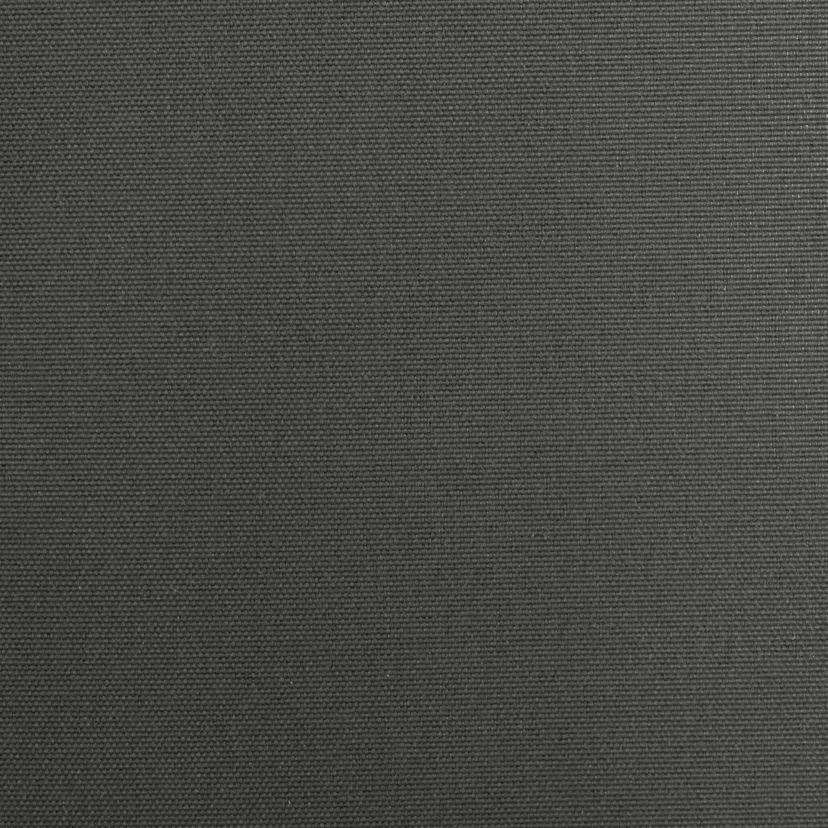 ROSEWOOD 55004