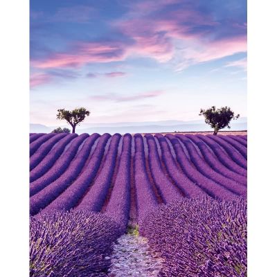 Pompöös Provence Marburg