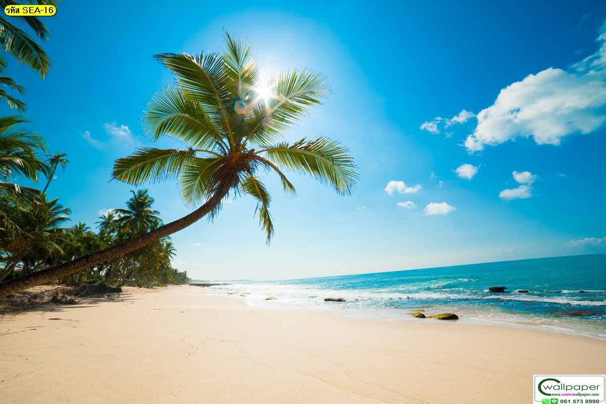 วอลเปเปอร์สั่งพิมพ์ภาพวิวทะเล SEA-16