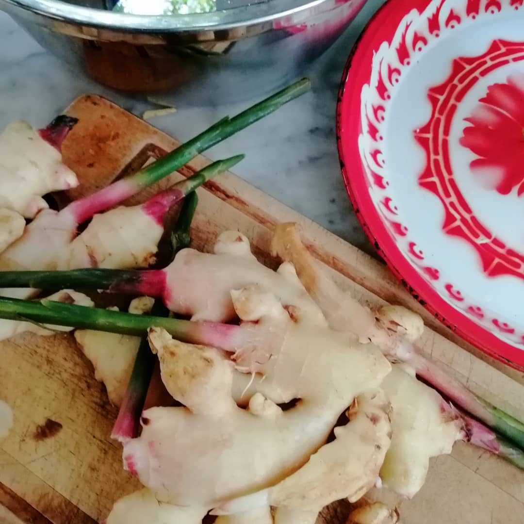 ขิงอ่อนดอง(โพรไบโอติกส์) Pickled Young Ginger (probiotics)