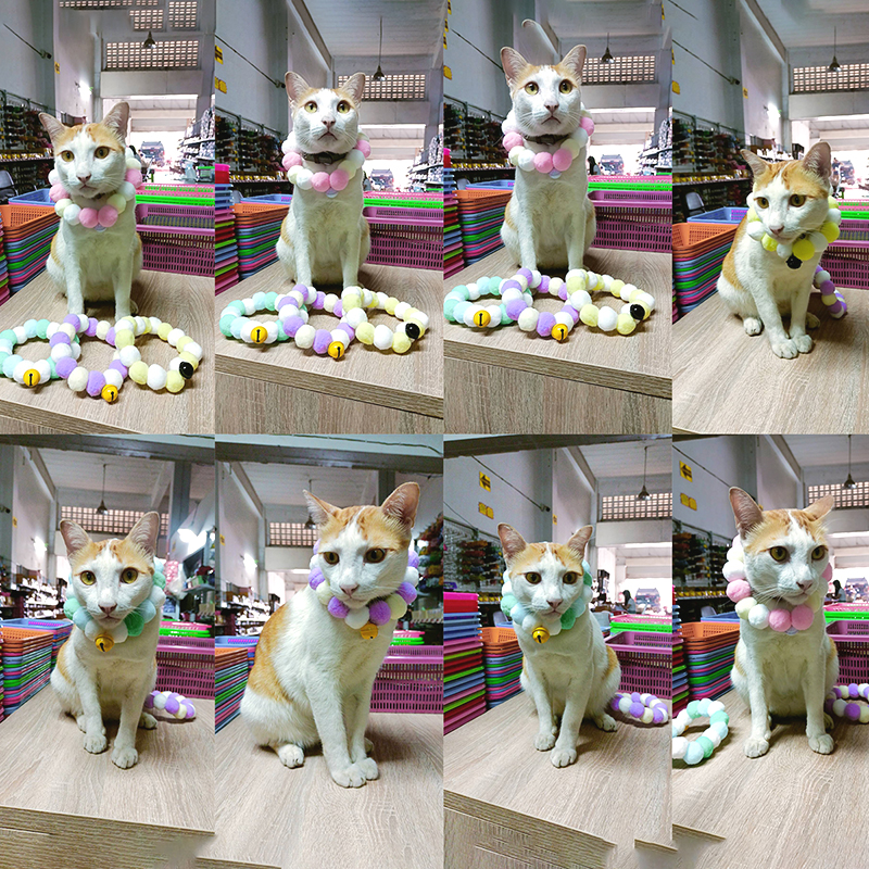 ðķðąāļāļĨāļāļāļāļ āļāļāļĄāļāļāļĄðāļāļĨāļāļāļāļāđāļĄāļ§ āļāļĨāļāļāļāļāļŠāļļāļāļąāļðāđāļĨāļ·āļāļāđāļāļĢāđāđāļĨāļ°āļŠāļĩ āđāļĢāļīāđāļĄāļāļīāđāļāļĨāļ° 19 āļāļēāļâïļāļāļĢāđāļāļĄāļŠāđāļ Ohwowshop āļāļĨāļāļāļāļāđāļĄāļ§ āļāļĨāļāļāļāļāļŠāļļāļāļąāļ āļāļĨāļāļāļāļāļāļāļĄ āļŠāļļāļāļāđāļēāļĢāļąāļ