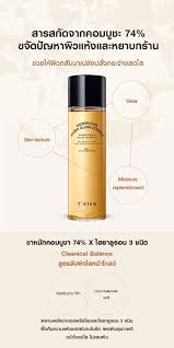 Telse Kombucha Hydro Glow Essence 150 ml.