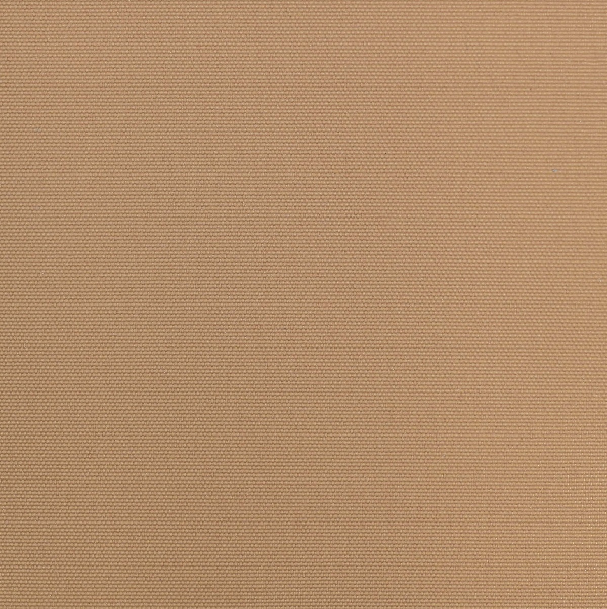 ROSEWOOD 55007