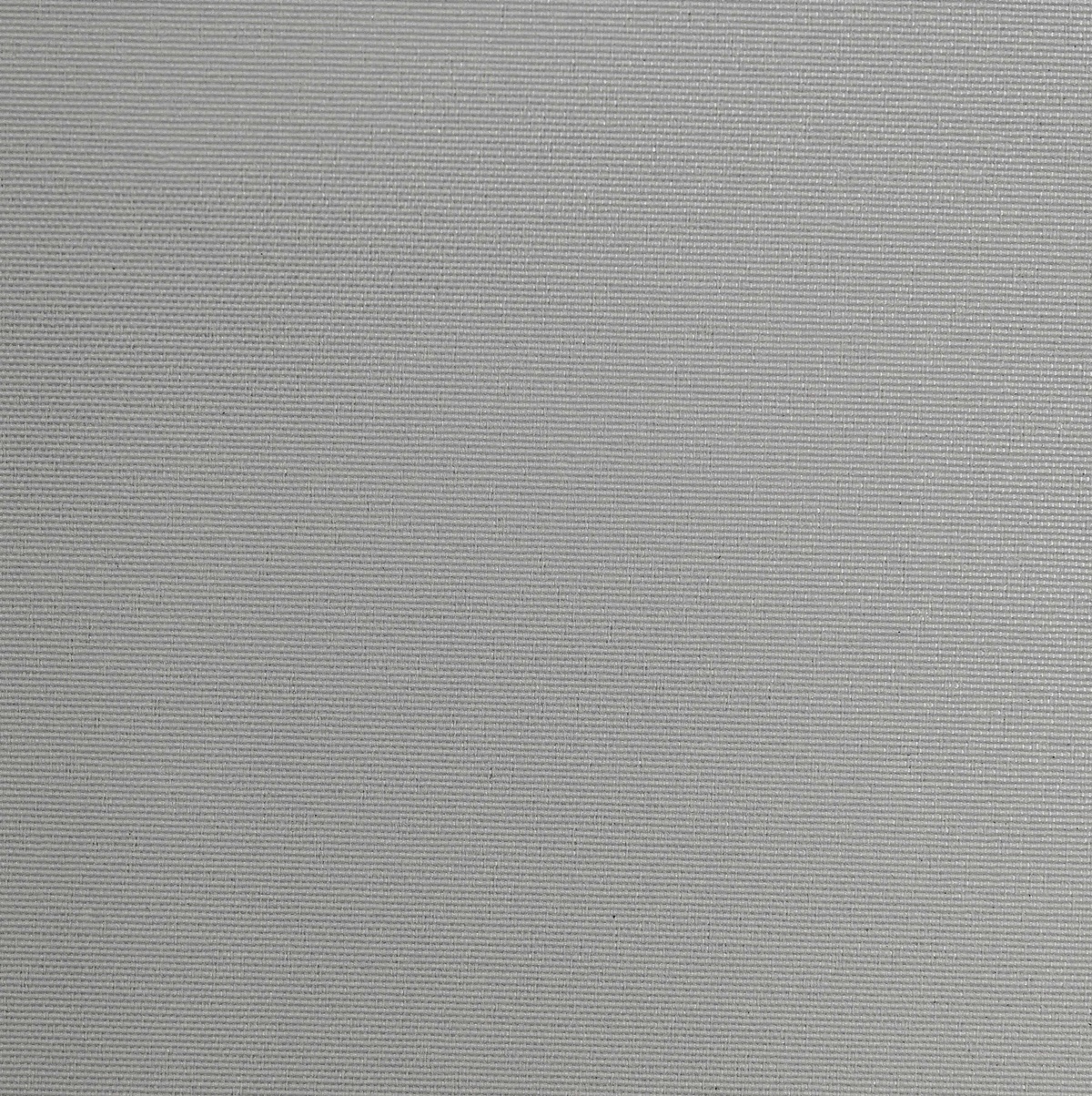 CARNIVAL C26225