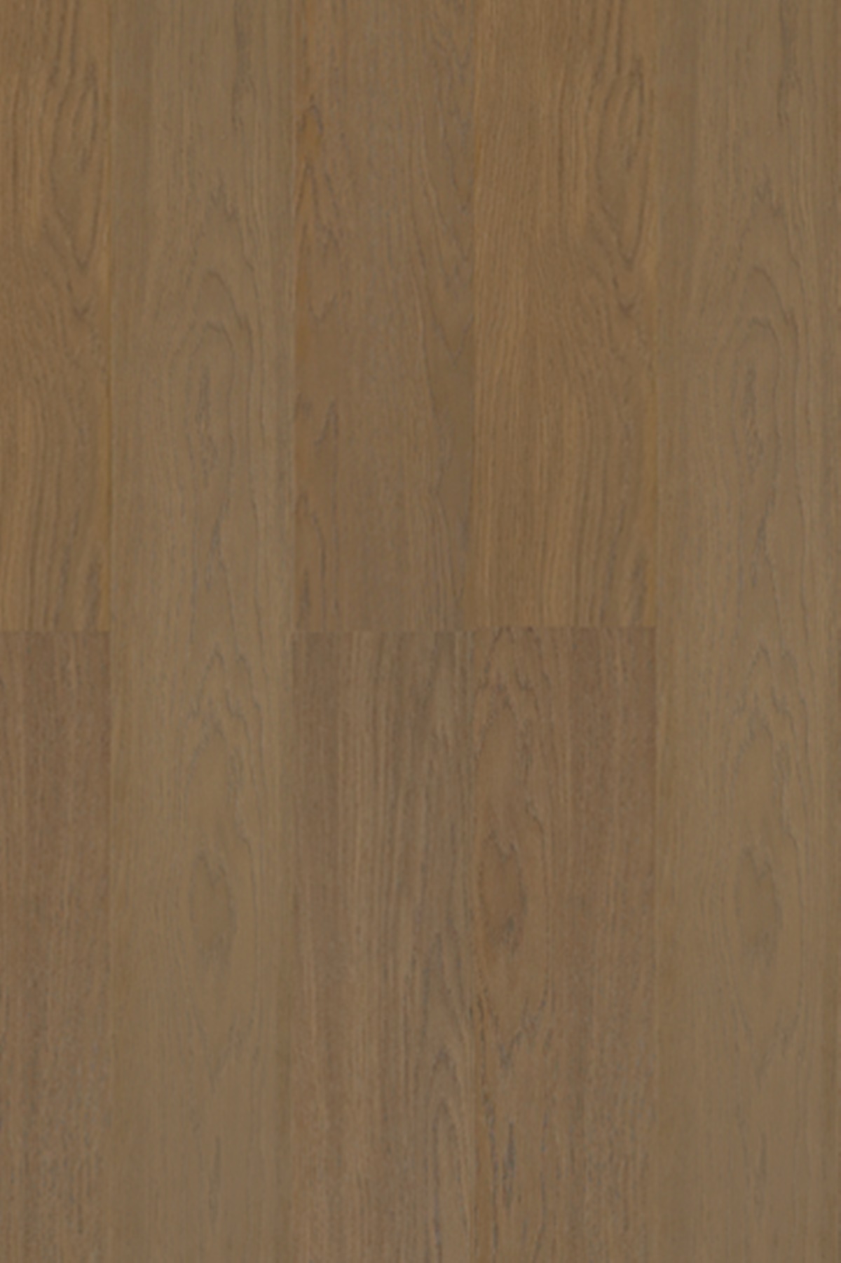 602 HARMONIC OAK