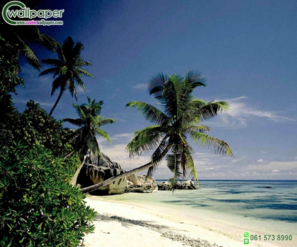 ภาพวิวทะเลภาพชายหาดTurtle Island Fiji