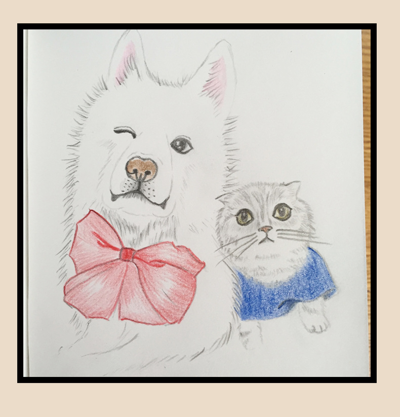 🌈⭐ดินสอสีไม้⭐🌈เครื่องเขียนสีไม้ 12 สี ✔️พร้อมส่งในไทย เสริมสร้างทักษะ ของเล่นเด็ก เครื่องเขียน