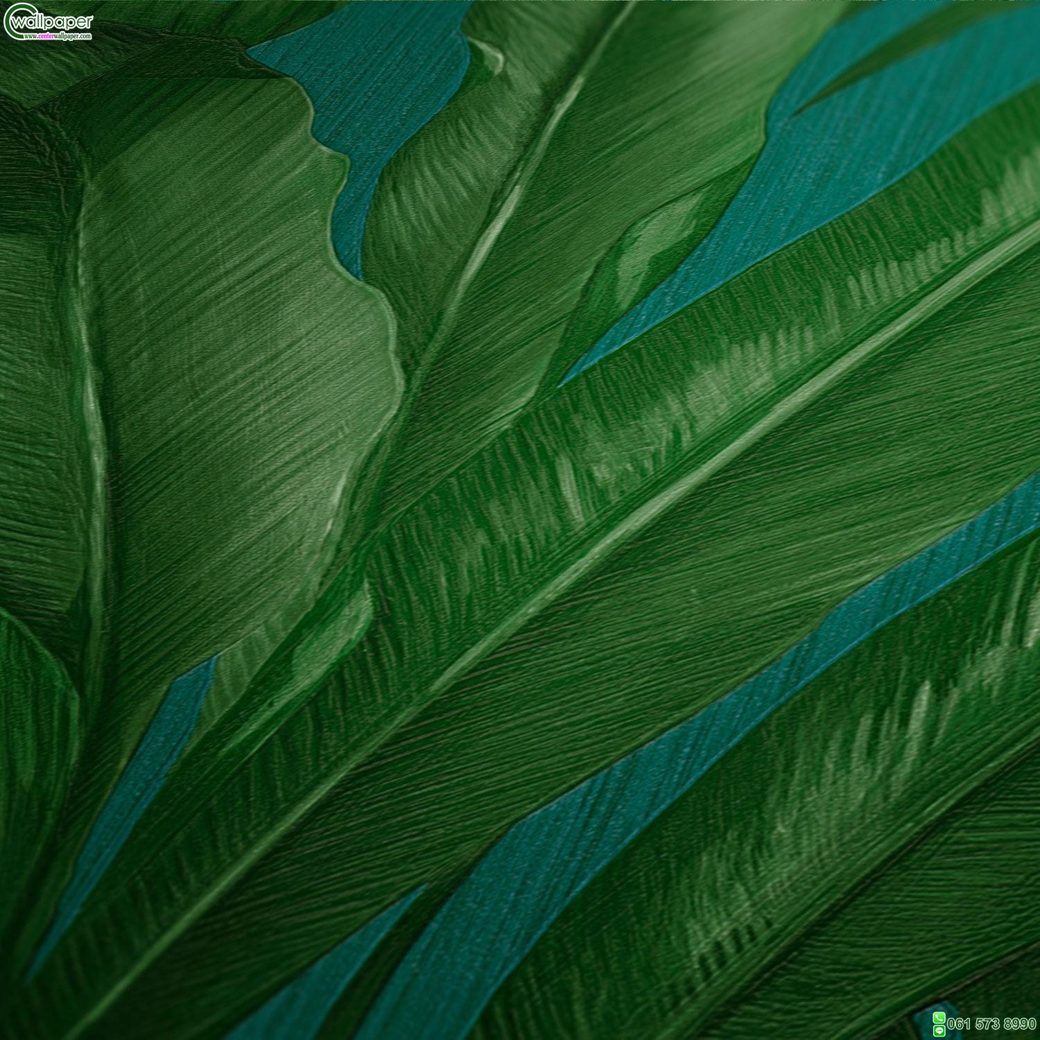 วอลเปเปอร์ VERSACE