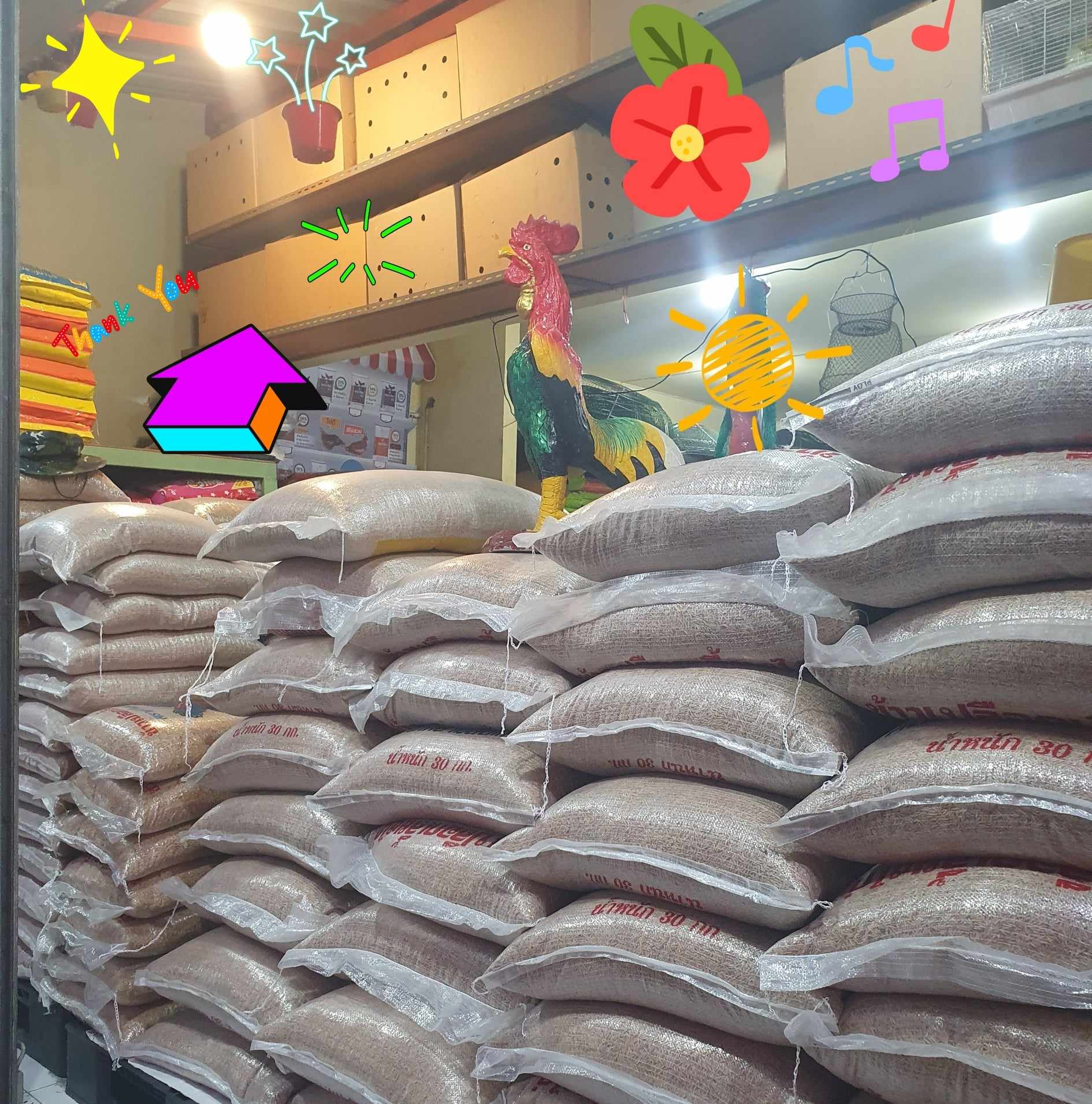 ขายส่งข้าวเปลือกไก่ชน 10กก.110-120 บาท