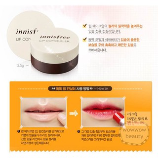 Innisfree Tapping Lip Concealer 3.5 g.