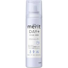 Kao Merit Day + Dry Shampoo Spray 130 g.