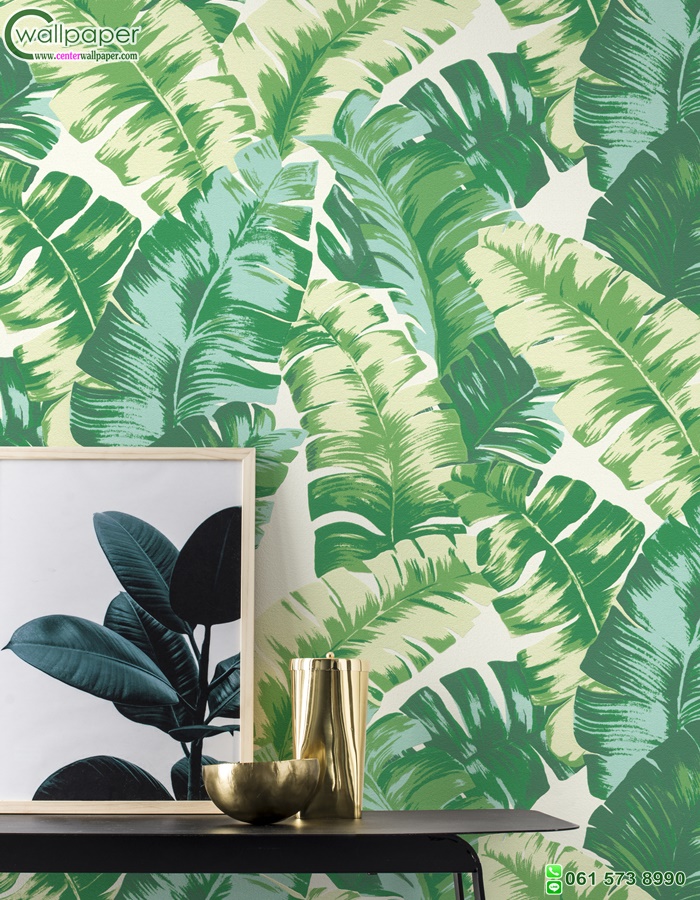 วอลเปเปอร์ติดผนังลายใบกล้วย สีเขียวขาว Tropical