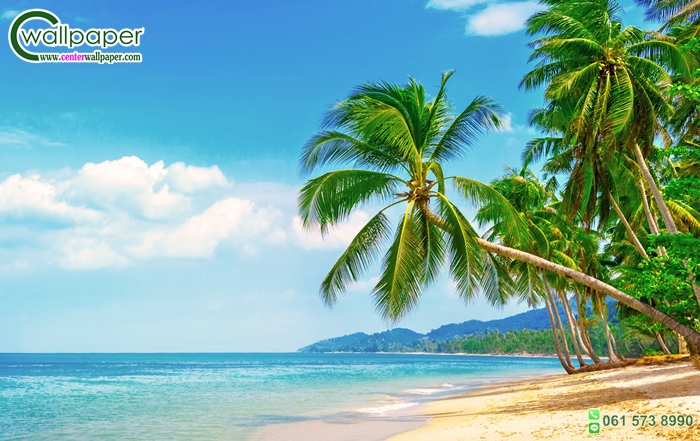 วอลเปเปอร์ติดผนังภาพวิวชายหาดสวย วอลเปเปอร์ภาพวิวธรรมชาติ