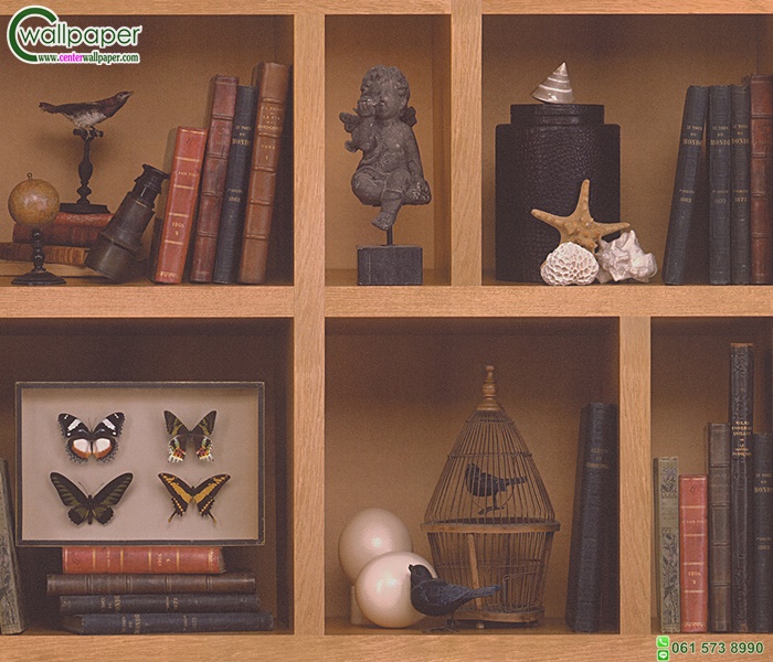 วอลเปเปอร์ติดผนังลายชั้นหนังสือ