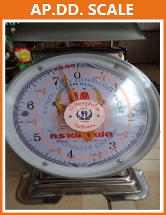 เครื่อง ตราฝาแฝด ชั่งสปริงสแตนเลส 2 หน้า เครื่องชั่ง3กิโลกรัม เครื่องชั่งน้ำหนัก3กิโล เครื่องชั่งสปริง3กิโล เครื่องชั่งน้ำหนัก3kg เครื่องชั่งน้ำหนักตั้งโต๊ะ3kg ตาชั่ง3kg ละเอียด10g จานแบน