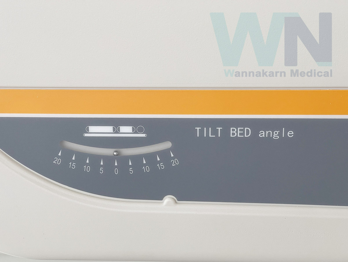 Electric Bed 5 Function Weighting Scale WRA I D